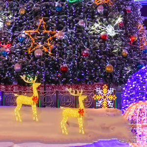 The Christmas Deer Lit In The Creative Yard, The Decorations With LED Lights Inserted In The Garden, The Lawn, The Courtyard